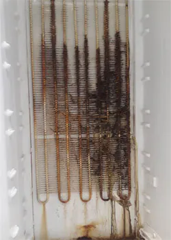 پودر قهوه ای در یخچال بلومبرگ